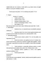 Referāts 'Ražošanas uzņēmuma struktūras pilnveidošana', 22.