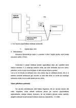 Referāts 'Ražošanas uzņēmuma struktūras pilnveidošana', 23.