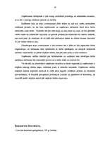 Referāts 'Ražošanas uzņēmuma struktūras pilnveidošana', 29.