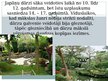 Prezentācija 'Senās Japānas kultūras izpausmes mūsdienu Latvijā', 3.