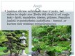 Prezentācija 'Senās Japānas kultūras izpausmes mūsdienu Latvijā', 5.