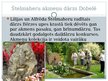 Prezentācija 'Senās Japānas kultūras izpausmes mūsdienu Latvijā', 7.