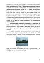 Diplomdarbs 'Kālezera un tā pamatbaseina apsaimniekošanas problēmas un perspektīvas', 28.