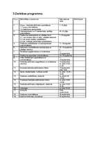 Referāts 'Projekts', 4.