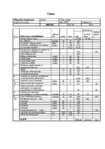 Referāts 'Projekts', 6.