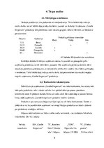 Biznesa plāns 'Biznesa plāns ražošanas uzņēmumam', 9.