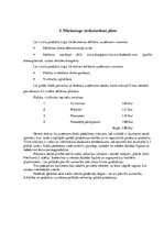 Biznesa plāns 'Biznesa plāns ražošanas uzņēmumam', 13.