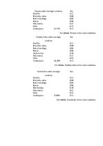 Biznesa plāns 'Biznesa plāns ražošanas uzņēmumam', 15.