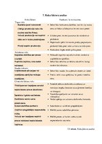 Biznesa plāns 'Biznesa plāns ražošanas uzņēmumam', 19.