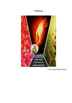 Biznesa plāns 'Biznesa plāns ražošanas uzņēmumam', 24.