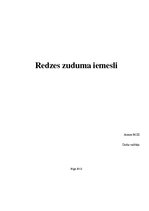 Konspekts 'Redzes zuduma iemesli', 1.