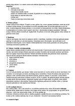 Konspekts 'Redzes zuduma iemesli', 5.