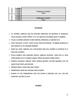 Biznesa plāns 'Uzņēmuma "Pirtnieciņš" mārketinga plāns', 13.