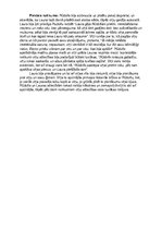 Konspekts 'Laura un Rūdolfs Regīnas Ezeras romānā "Aka"', 2.