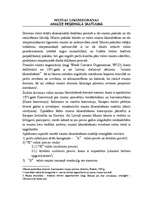 Referāts 'Muitas likumdošanas analīze reģionālā skatījumā', 1.