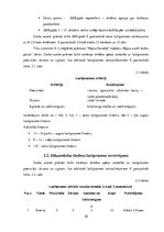 Diplomdarbs 'Jaunākā skolas vecuma bērnu lasītprasmes veicināšanas iespējas sākumskolā', 28.