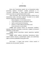 Referāts 'Pamatlīdzekļu uzskaites veidi un dokumentācijas sistēma individuālajā uzņēmumā', 2.