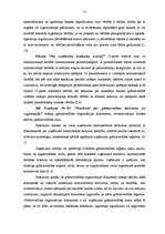 Referāts 'Pamatlīdzekļu uzskaites veidi un dokumentācijas sistēma individuālajā uzņēmumā', 17.