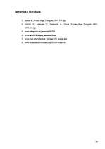 Referāts 'Datora ietekme uz auzu augšanu', 34.