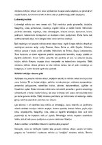 Konspekts 'Pasaules mākslas vēsture', 15.