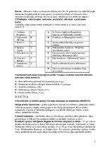 Konspekts 'Renesanses un reformācijas laikmets', 2.