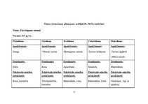 Prakses atskaite 'Prakse pirmsskolā', 17.