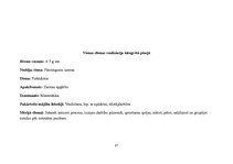 Prakses atskaite 'Prakse pirmsskolā', 21.