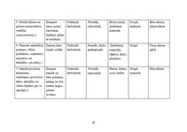 Prakses atskaite 'Prakse pirmsskolā', 24.