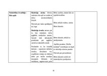 Prakses atskaite 'Prakse pirmsskolā', 26.