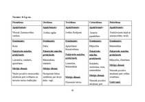Prakses atskaite 'Prakse pirmsskolā', 35.