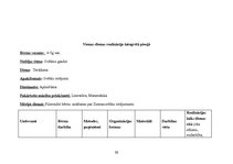 Prakses atskaite 'Prakse pirmsskolā', 38.