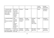 Prakses atskaite 'Prakse pirmsskolā', 39.