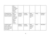 Prakses atskaite 'Prakse pirmsskolā', 40.