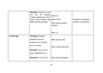 Prakses atskaite 'Prakse pirmsskolā', 43.