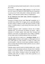 Eseja 'Birkenbauma tēls Rūdolfa Blaumaņa novelē “Nāves ēnā”: psiholoģiskā, sociālā un s', 3.