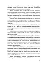 Diplomdarbs 'Vadīšanas procesa organizēšana SIA "X" veikalā "XX"', 45.