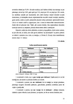 Diplomdarbs 'Vadīšanas procesa organizēšana SIA "X" veikalā "XX"', 50.