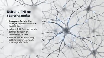 Prezentācija 'Vai smadzenes spēj pārveidoties pēc traumas vai insulta', 5.