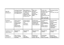 Konspekts 'Tūrisma aģentūru salīdzinājums', 2.