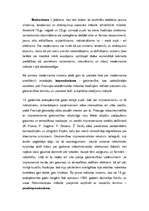 Konspekts 'Postimpresionisms un Vinsenta van Goga meklējumi mākslā', 2.