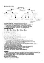 Konspekts 'Saimniecisko procesu organizācija laikā', 4.