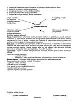 Konspekts 'Saimniecisko procesu organizācija laikā', 7.