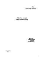 Referāts 'Attīstības teorijas K.G.Jungs', 1.