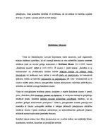 Referāts 'Mobilā satura pakalpojumi', 6.