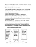 Referāts 'Mobilā satura pakalpojumi', 7.