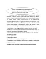 Referāts 'Mobilā satura pakalpojumi', 8.