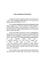 Referāts 'Mobilā satura pakalpojumi', 19.