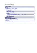 Referāts 'Pinumu tehnika', 2.