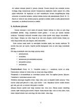 Referāts 'Pinumu tehnika', 6.