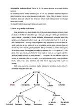 Referāts 'Pinumu tehnika', 7.